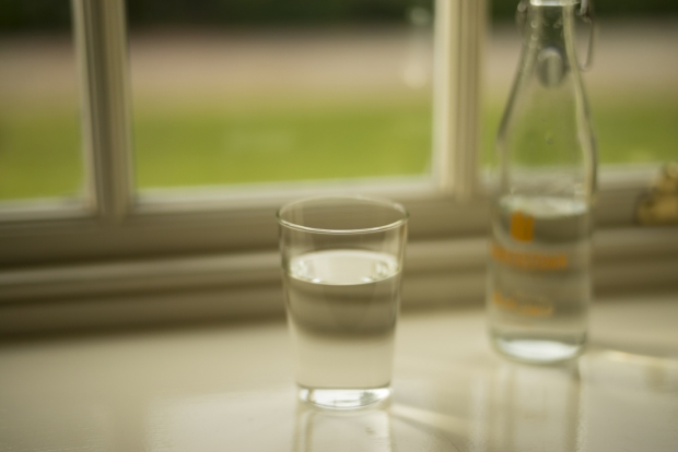 THE GLASS